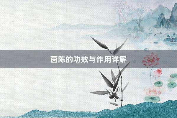 茵陈的功效与作用详解