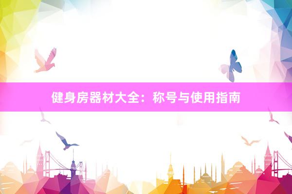 健身房器材大全：称号与使用指南