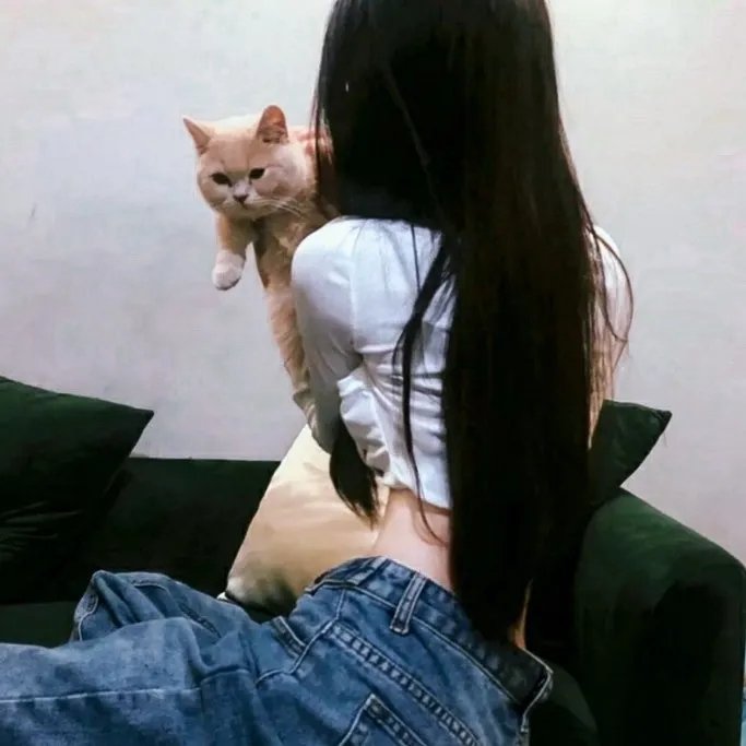 无耻之徒第四季