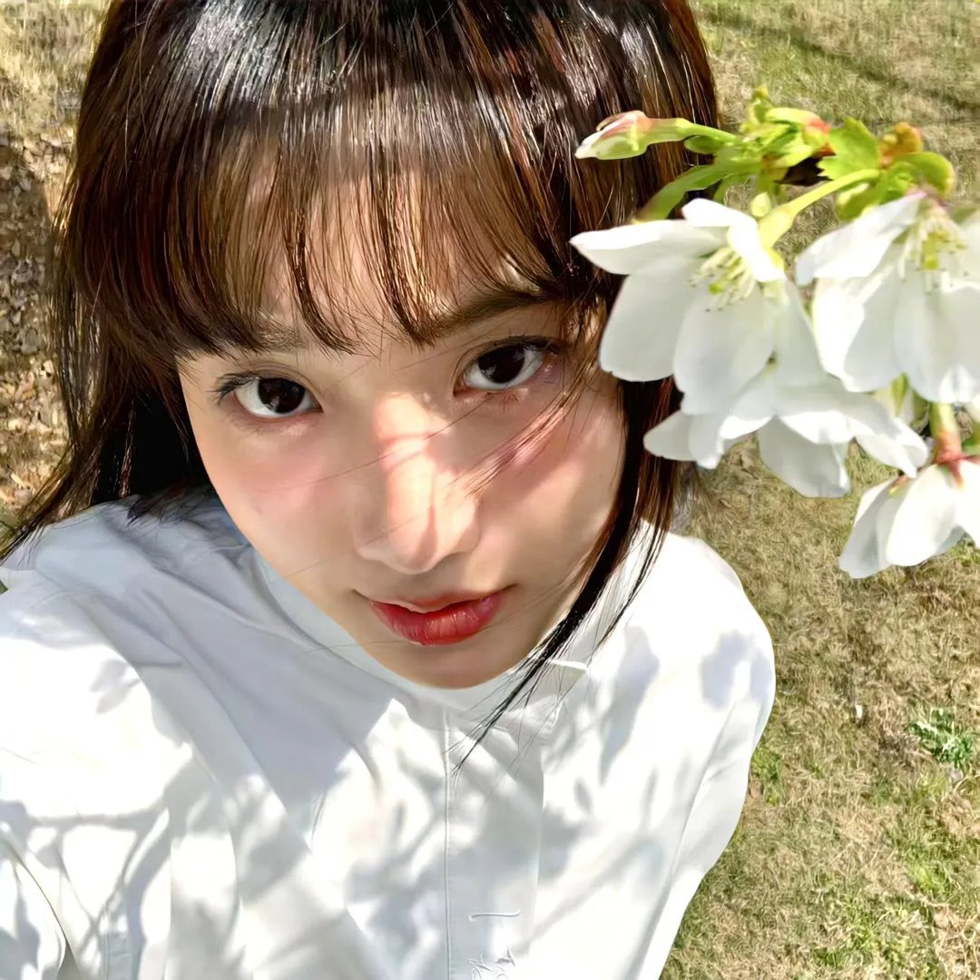 迷离春色芙蓉帐